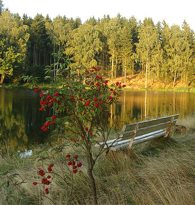 Birnbaumteich